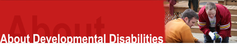 About Developmental Disabilities